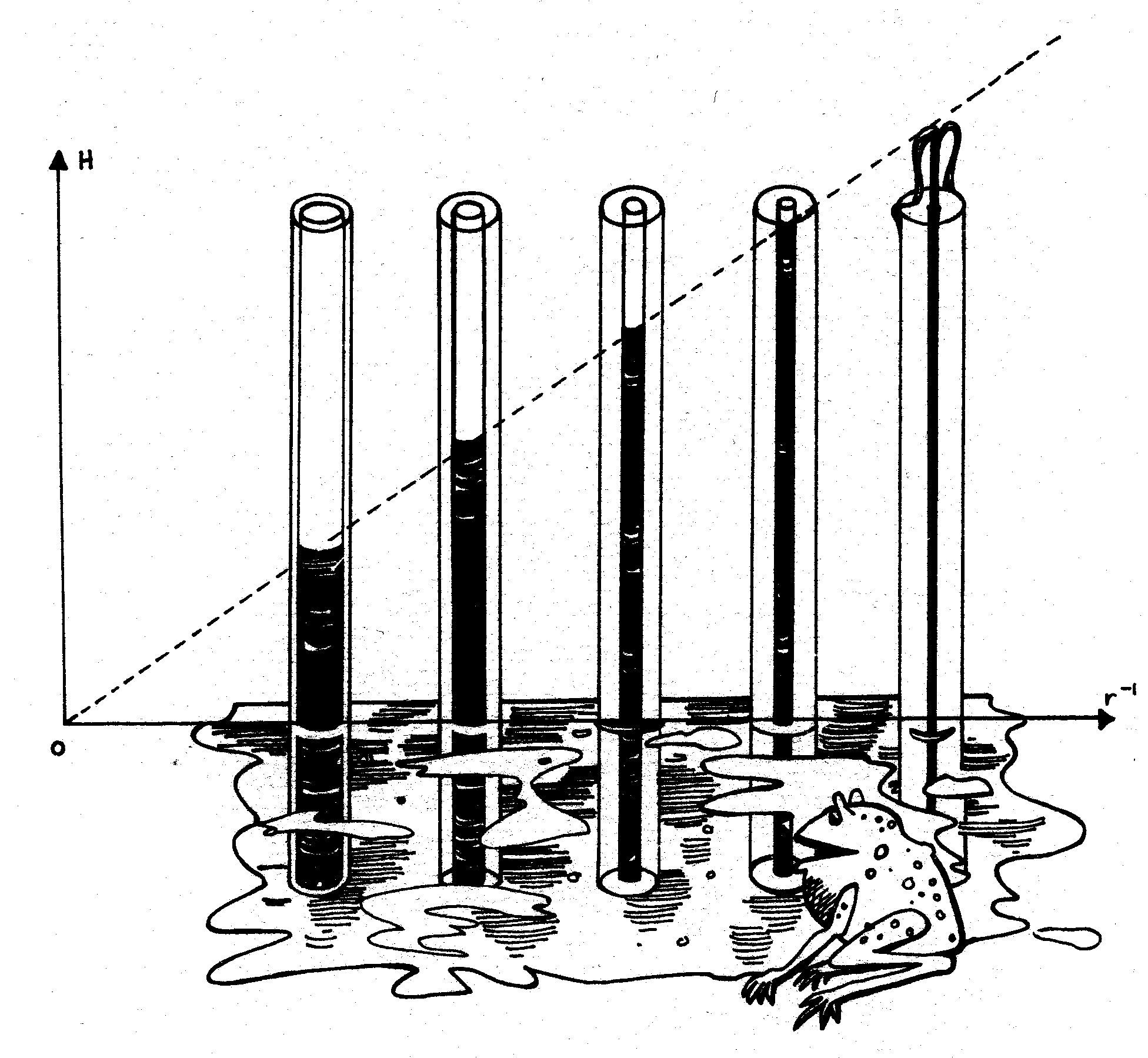A series of capillary tubes are shown standing verttcally in water, with bottom end in water, top end open to air. The water is shown to be elevated in each tube to a height h = K/r, where r is the radius of the capillary.  It follows unambiguously, that, for a sufficiently narrow tube, the water will be raised to a height greater than the height (abobe water) of the tube -- thus producing a fountain, and providing inexhaustible perpetual motion. The wise from poners.
